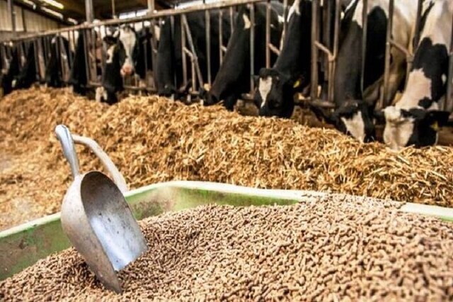 تزریق ۷۵۰ میلیارد برای تأمین نهاده دامی عشایر اردبیل