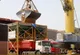 پایداری تأمین نان در غرب مازندران با واردات گندم