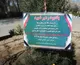 کاشت نهال به یاد رهبر امام شهید امت
