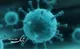 زنگ خطر آنفولانزا برای کودکان و سالمندان در مازندران/ کاهش اثر واکسن آنفولانزا برابر سویه جدید